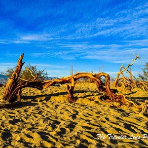San Dunes Death Valley Picture